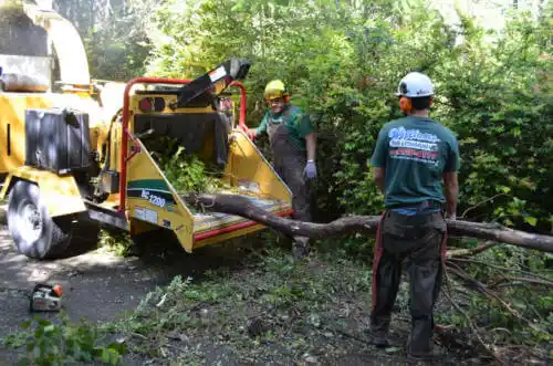 tree services Otis